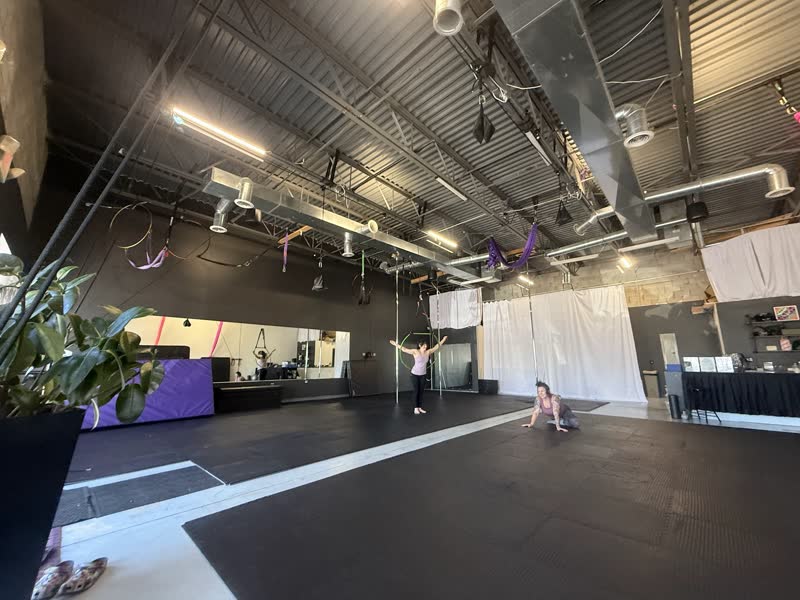 Aerial Dragonfly Movement Studio — photo