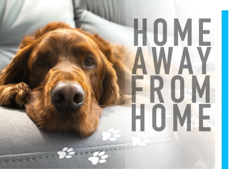 Athena's Dog House — photo