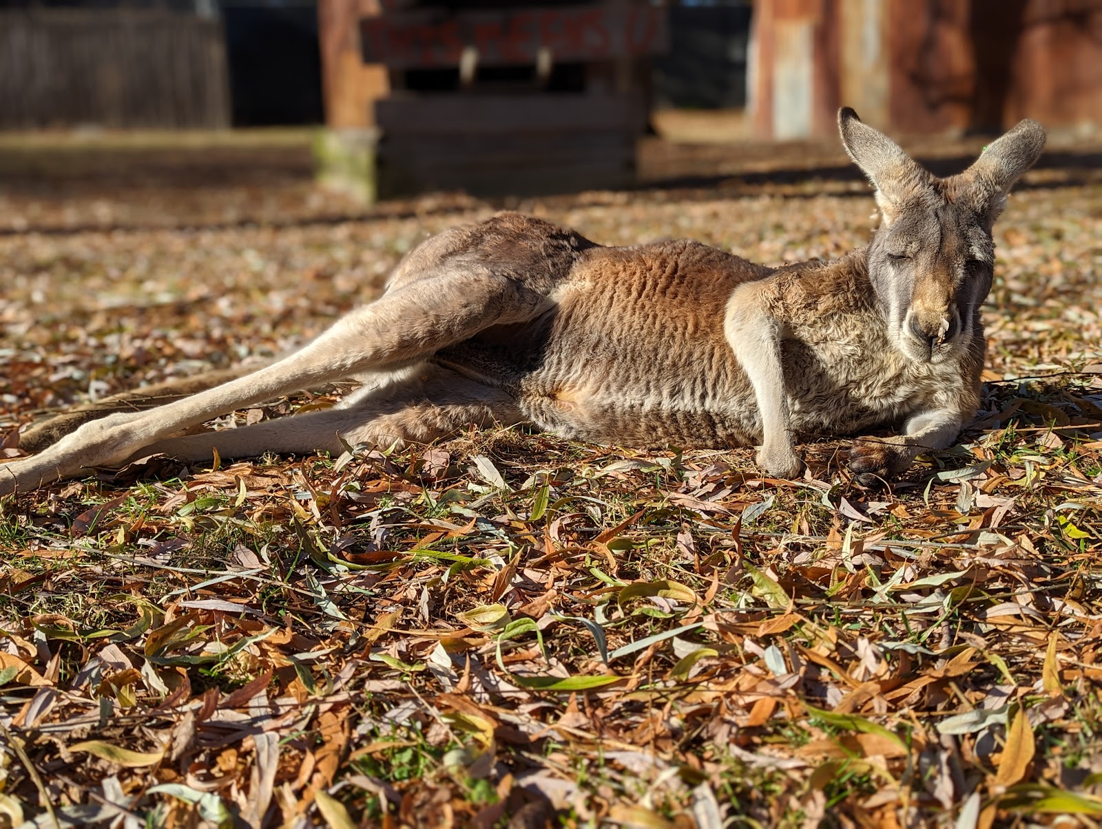Australian Outback Adventure — photo
