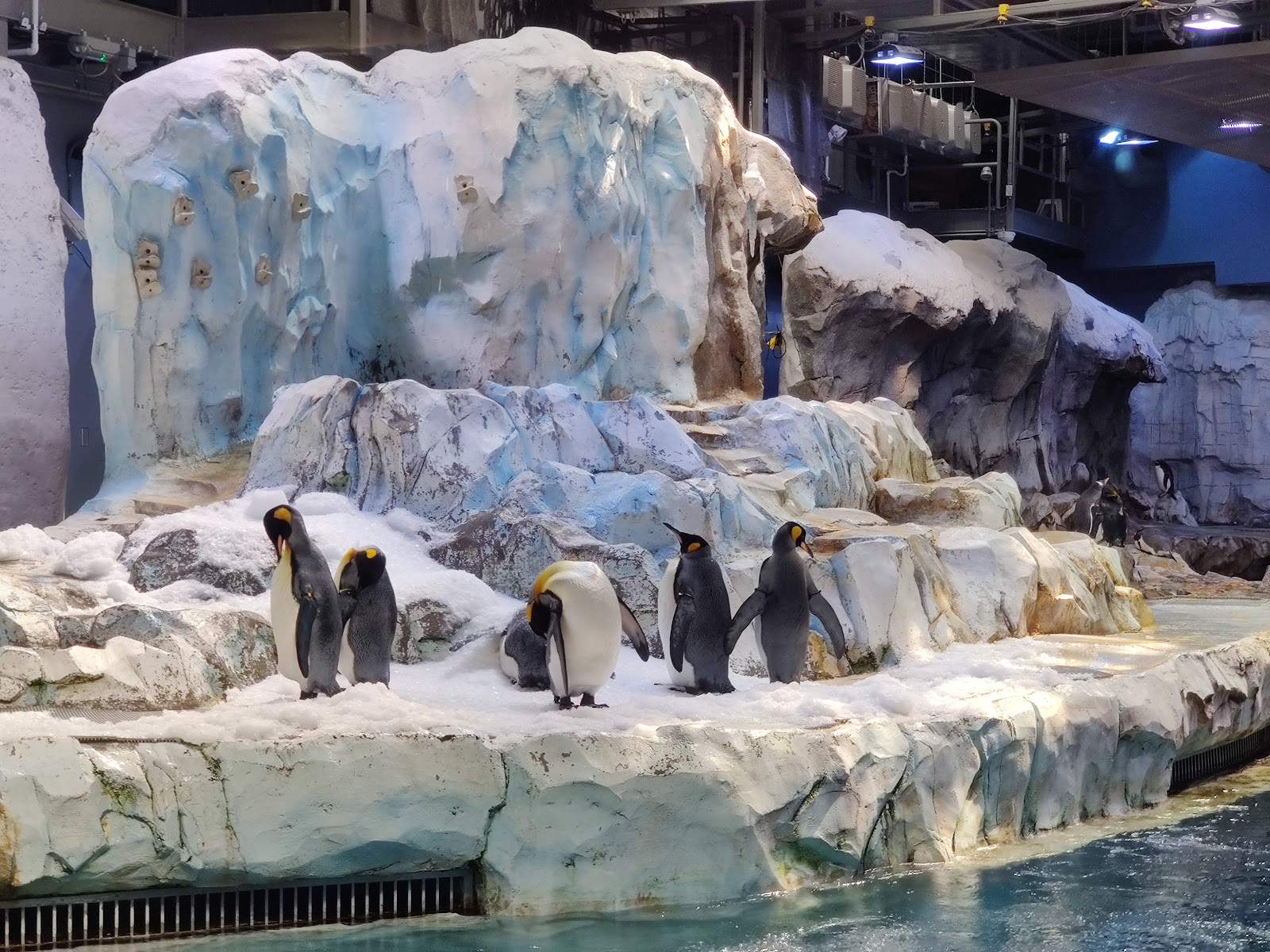Detroit Zoo in Royal Oak