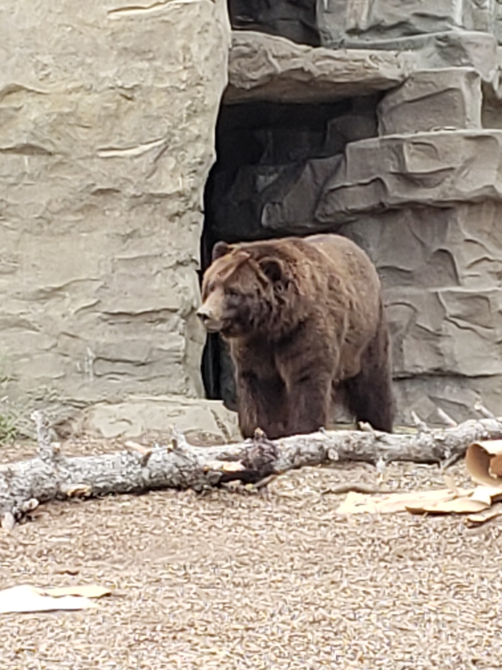 Detroit Zoological Society — photo