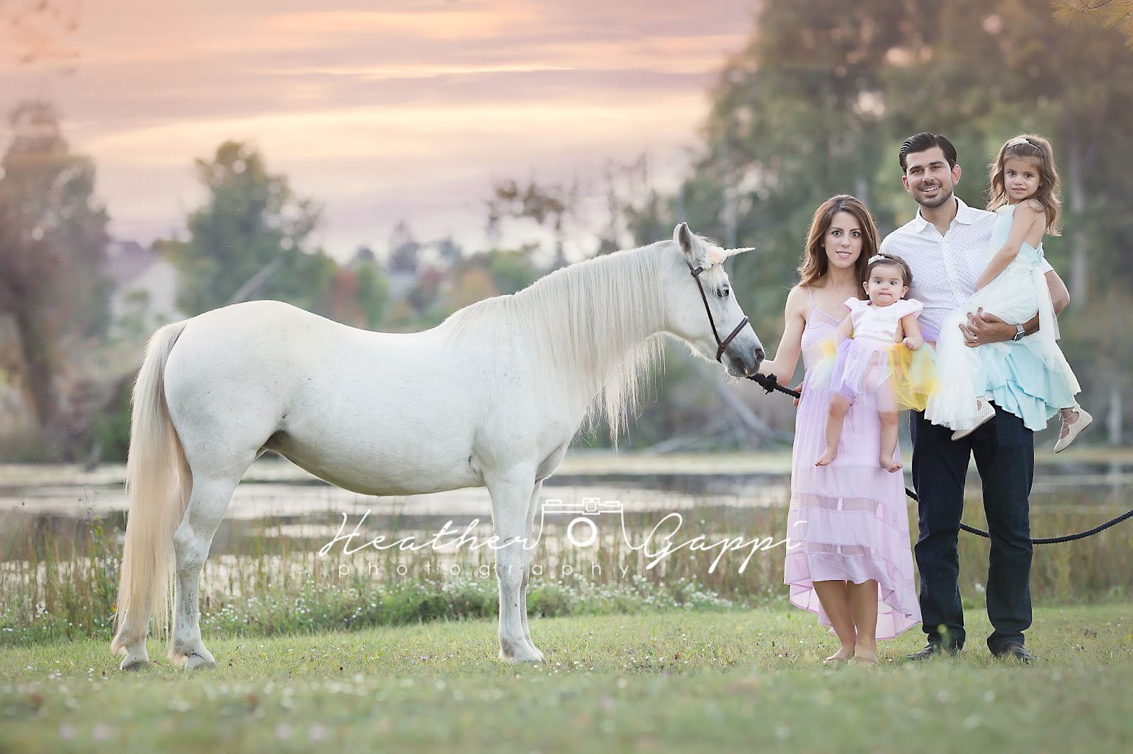 Heather Gappi Photography in Royal Oak