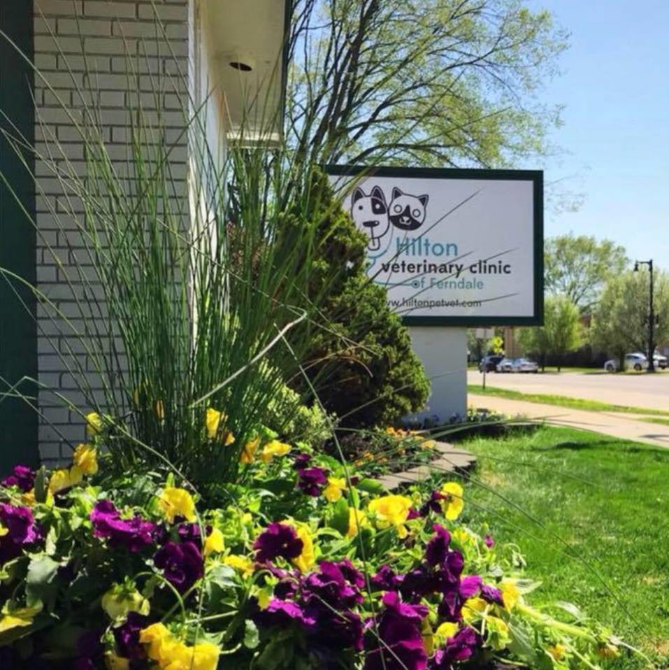 Hilton Veterinary Clinic of Ferndale — photo