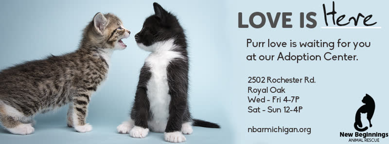 New Beginnings Animal Rescue — photo