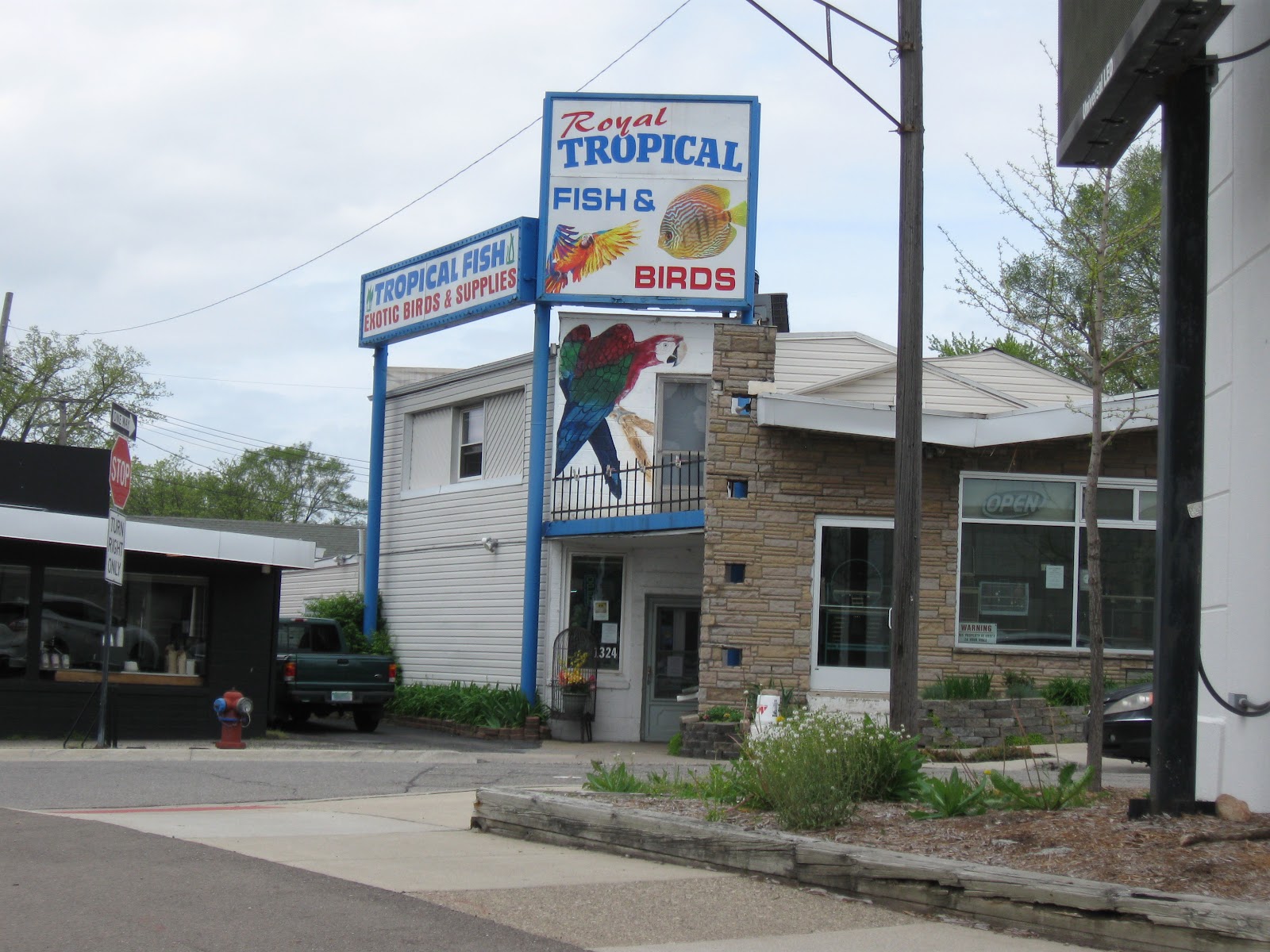 Royal Tropical Fish & Bird Haven in Royal Oak