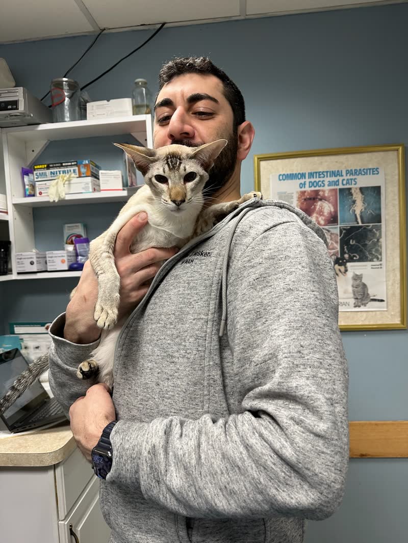 West Woodward Animal Hospital — photo